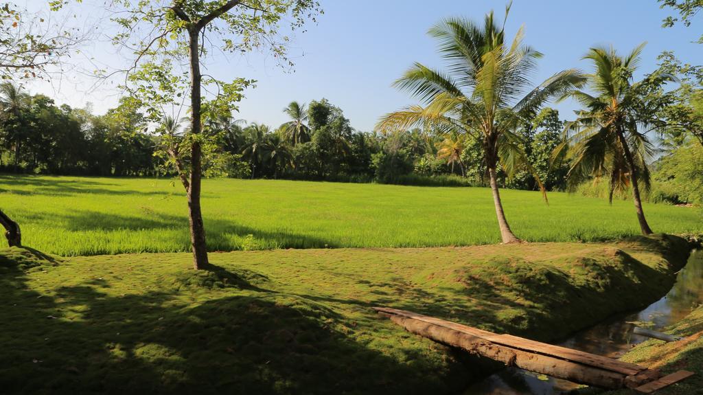 Miracle Resorts & Villas Polonnaruwa Buitenkant foto