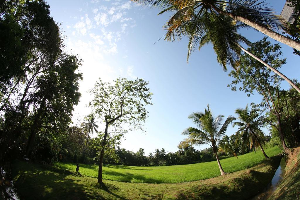 Miracle Resorts & Villas Polonnaruwa Buitenkant foto