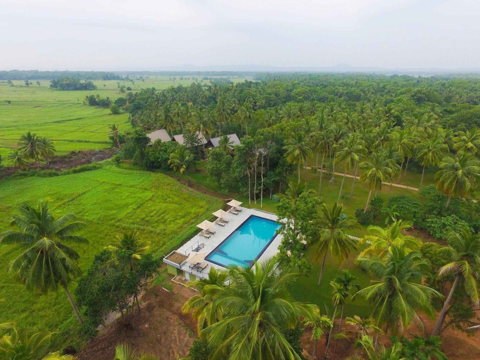 Miracle Resorts & Villas Polonnaruwa Buitenkant foto
